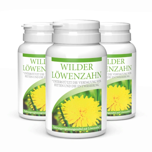 Wilder Löwenzahn x3